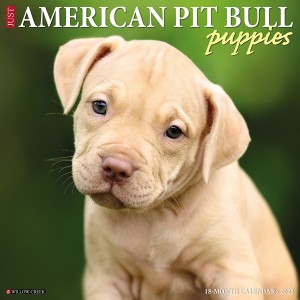 Just American Pit Bulls Puppies 2023 Wall Calendar