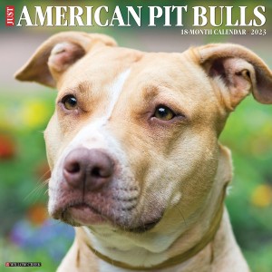 Just American Pit Bulls 2023 Wall Calendar