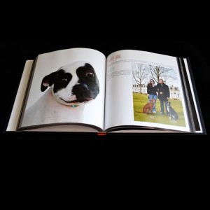 We Are Pitbulls Coffee Table Book
