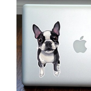Boston Terrier Full Color Large Decal