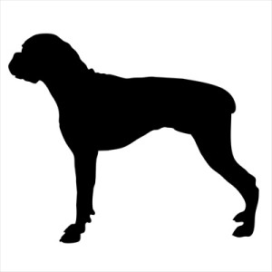 Boxer Small Decal