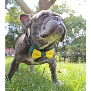Green and Yellow Dog Bow Tie