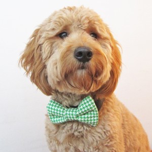 Green Houndstooth Dog Bow Tie