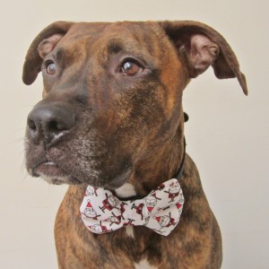 Christmas Santa Dog Bow Tie