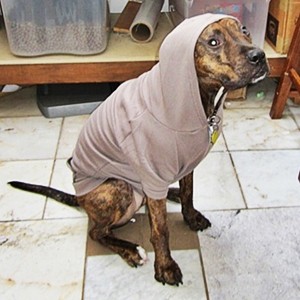 Pewter Fleece Dog Hoodie - Size XL