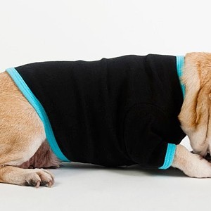 Black Aqua Baby Rib Dog T-Shirt - Size XL