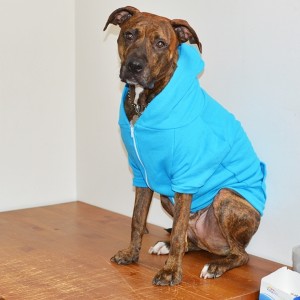 Neon Heather Blue Fleece Dog Hoodie - Size Large