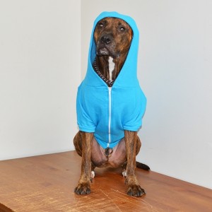 Neon Heather Blue Fleece Dog Hoodie - Size Large