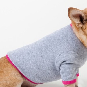 Grey Fuchsia Baby Rib Dog T-Shirt - Size XL