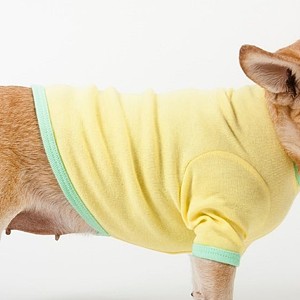 Lemon Lime Baby Rib Dog T-Shirt - Size XL