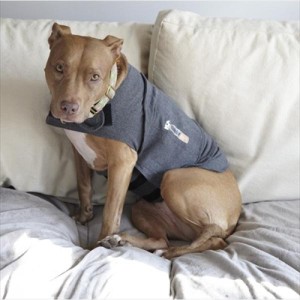 ThunderShirt for Dogs - Size Small