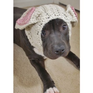 Beige Rabbit Dog Snood - Small