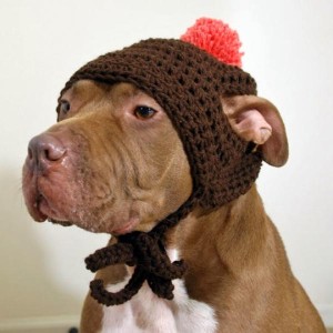 Brown Crochet Dog Hat with Orange Pom Pom - Large