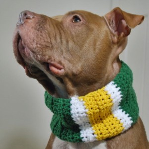 Green, Yellow and White Dog Cowl - Medium