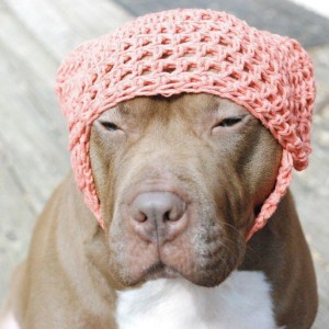 Shelby Tangerine Crochet Hat (covers ears) - Large