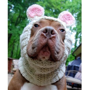 Beige Mouse Dog Snood - Large