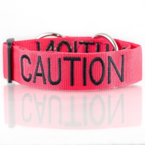 Caution Martingale Dog Collar