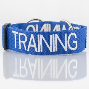 Training Buckle Dog Collar - Small-Med 