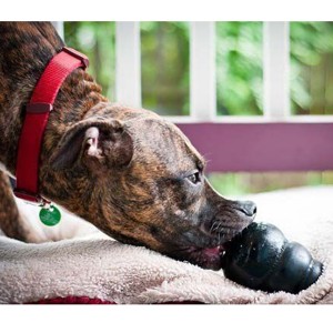 Kong Extreme XL Interactive Dog Toy