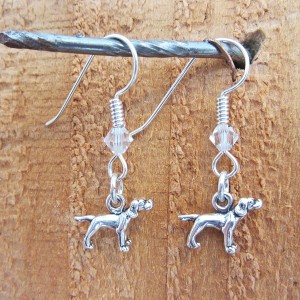 Pointer Sterling Silver Mini Dangle Earrings