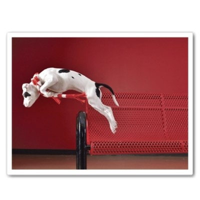Itty Pittie Leaping Christmas Card