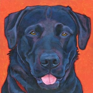 Black Labrador Retriever Relaxed 8x10 Print by Lynn Culp